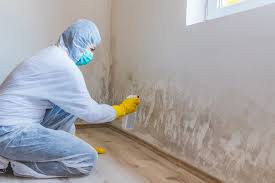 Santa Maria, CA Mold Removal & Remediation Company